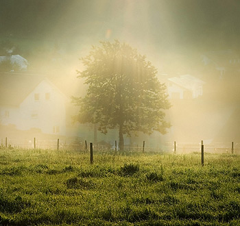 免费ddos平台攻击