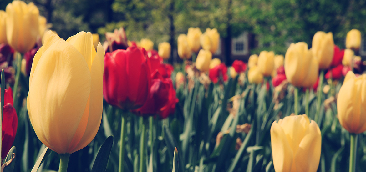 ddos攻击器安卓ios下载