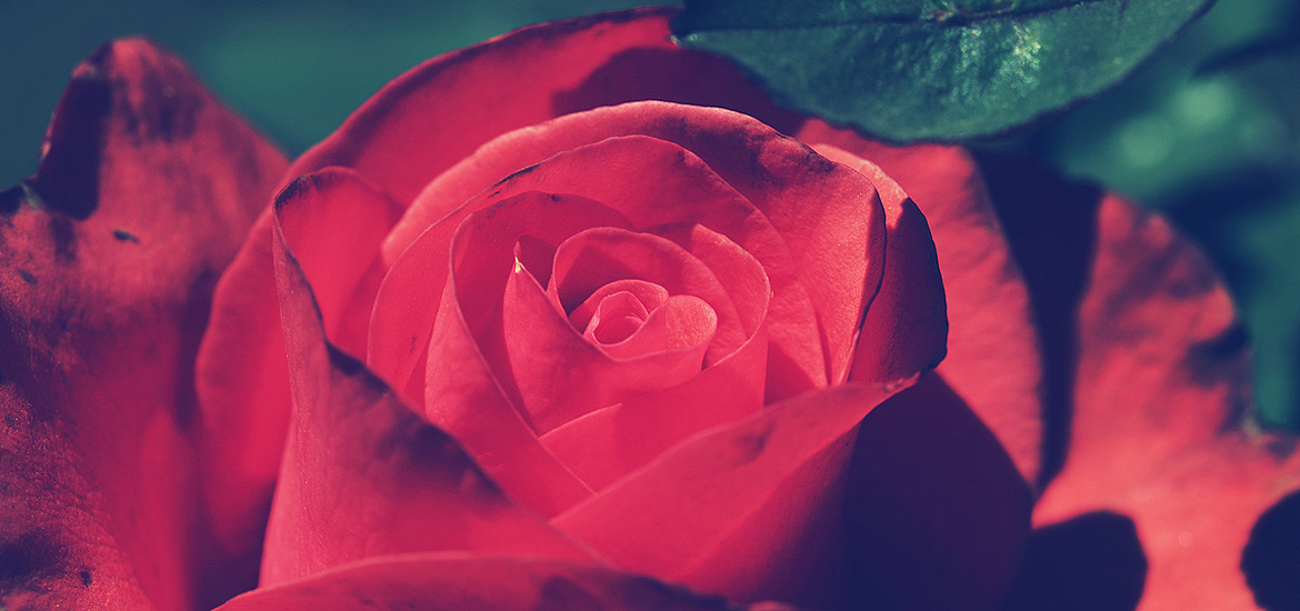 ddos在线攻击测试网站